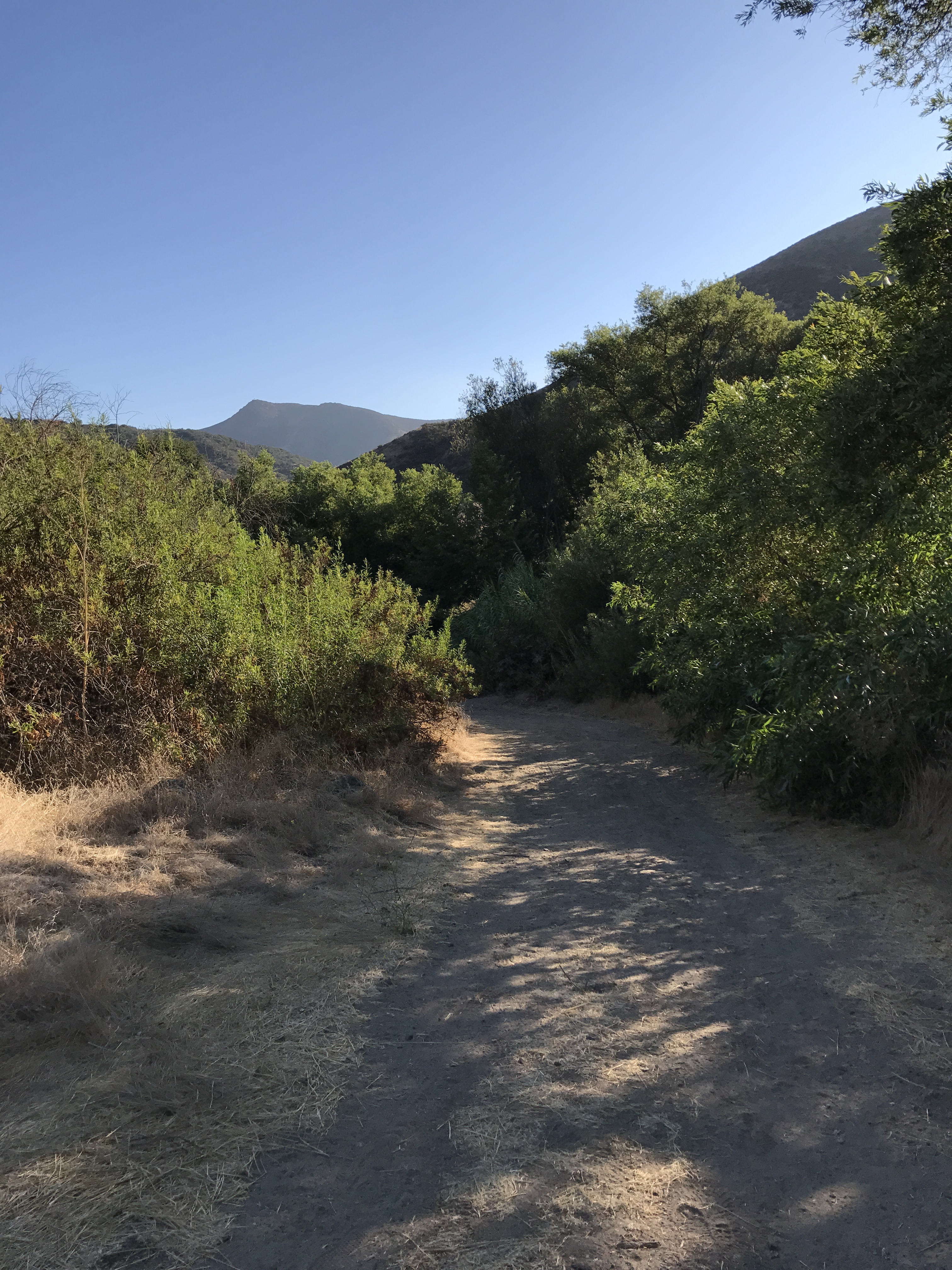 Hill Canyon Trail5